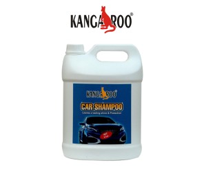 CAR Shampoo - HIGH Quality for Stainless Shine - 5 litres